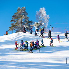 Eesti Noorte Alpisari III etapp, SL