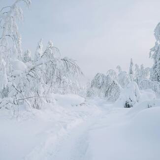 Mäealadel treenerite EKR3 tasemekoolitused