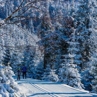 6.-8. nov toimuvad Rootsis Põhjamaade noorte meistrivõistlused